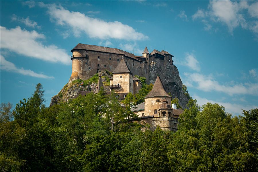 Orava